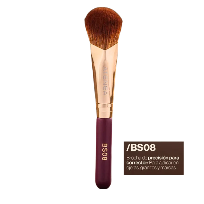 Brocha BS08 para Corrector Atenea
