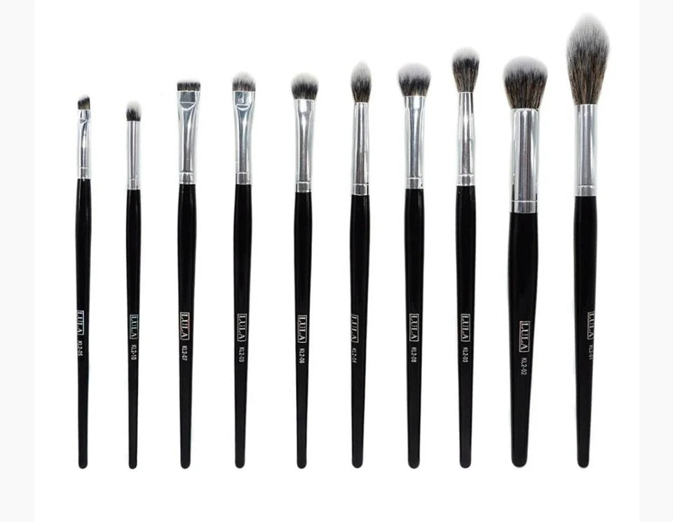 Kit De Brochas Lula Eclipse x10 Unid