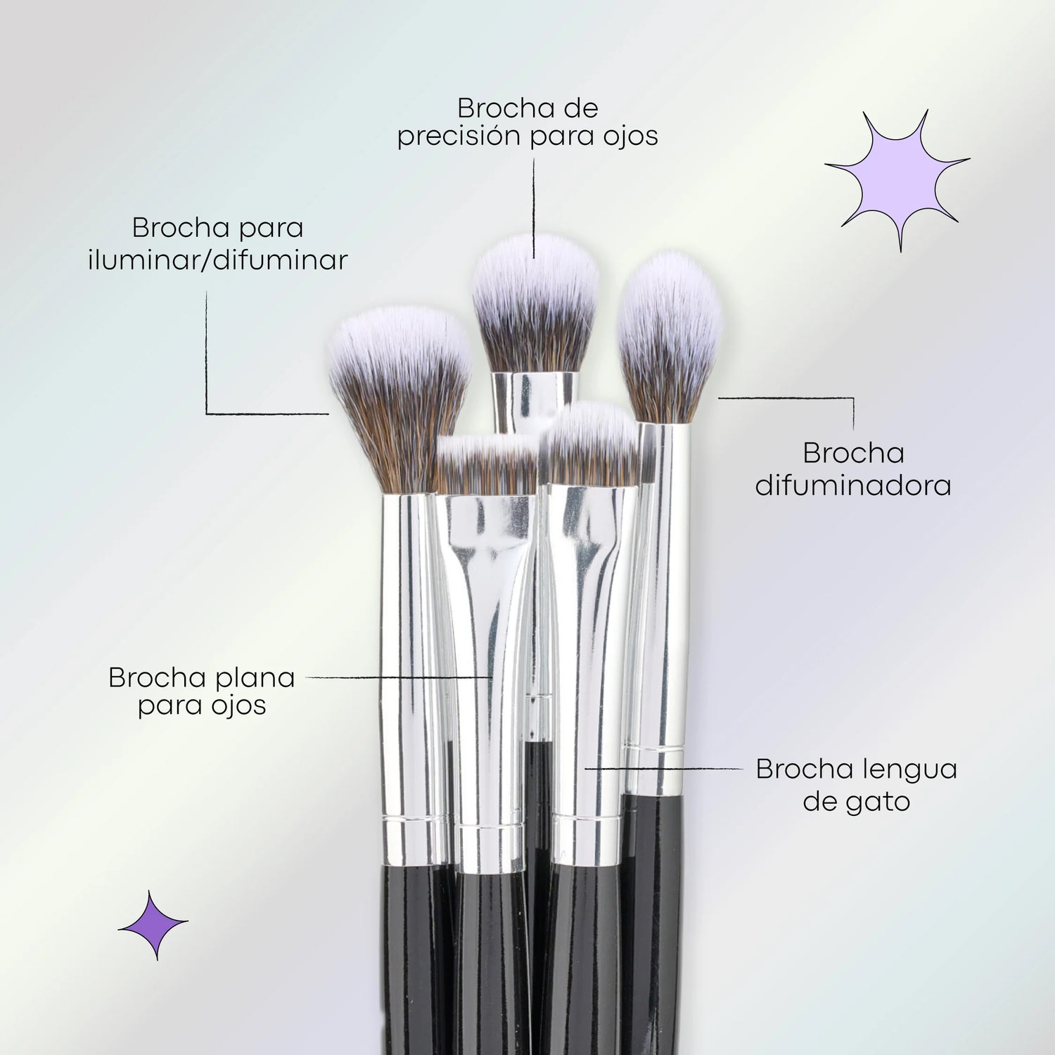 Kit De Brochas Lula Eclipse x10 Unid