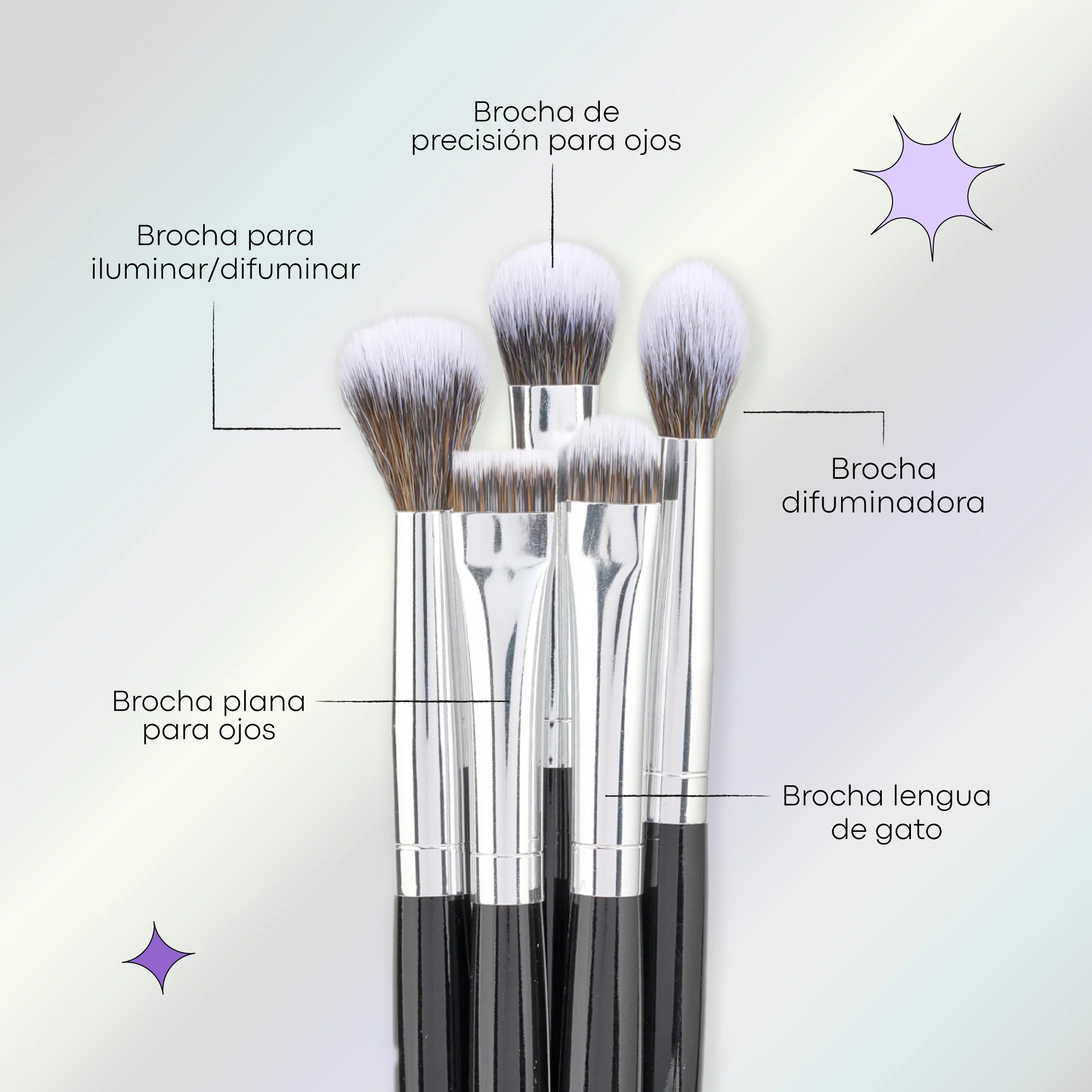 Kit De Brochas Lula Eclipse x10 Unid