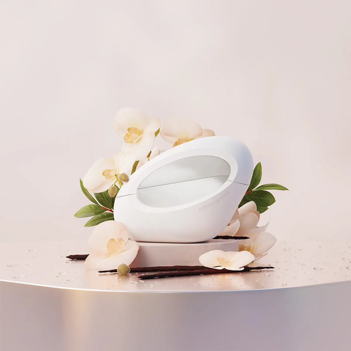 Mod Vanilla  Ariana Grande Eau de Parfum